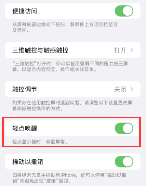 安丘苹果授权维修站分享iPhone轻点无法唤醒怎么办 