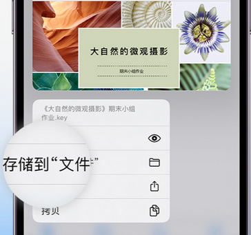 安丘apple维修中心分享iPhone文件应用中存储和找到下载文件