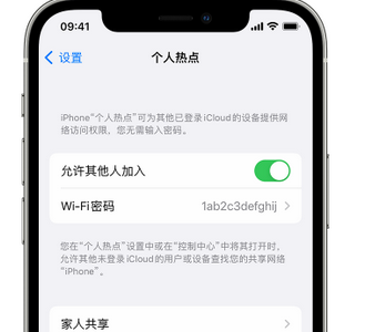 安丘apple服务站点分享iPhone上个人热点丢失了怎么办 