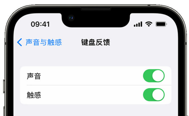 安丘苹果手机维修分享iPhone 14触感键盘使用方法 