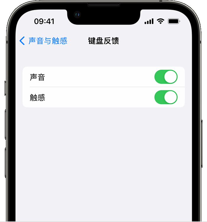 安丘苹果14维修店分享如何在 iPhone 14 机型中使用触感键盘 