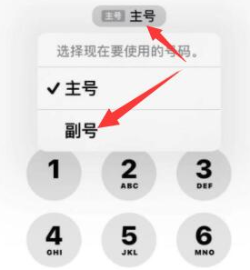 安丘苹果14维修店分享iPhone 14 Pro Max使用副卡打电话的方法 