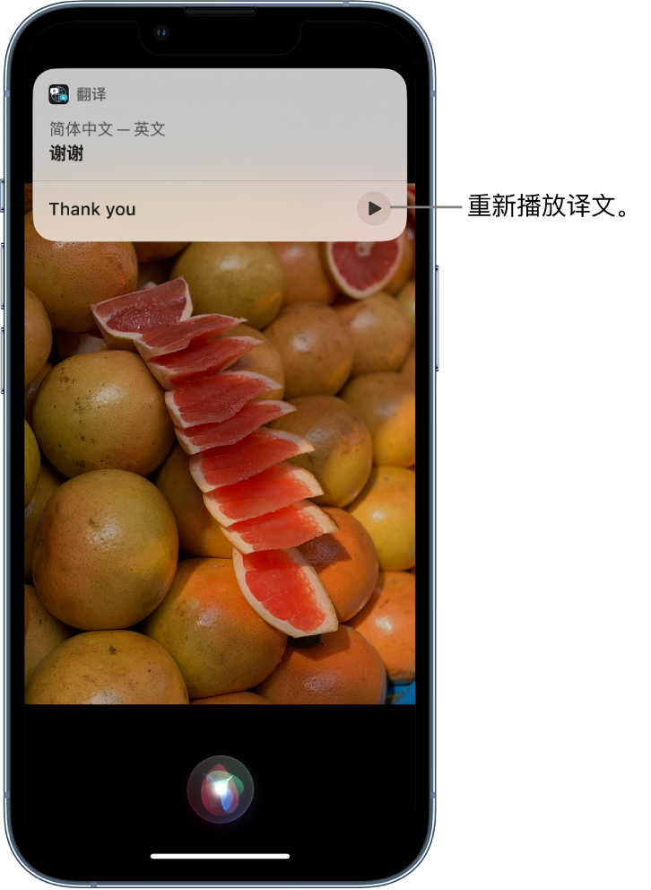 安丘苹果14维修分享 iPhone 14 机型中使用 Siri：了解 Siri 能帮你做什么 