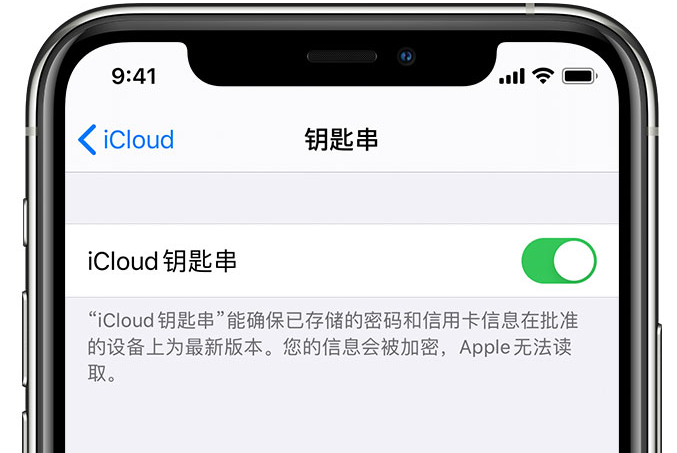 安丘苹果手机维修分享在 iPhone 上开启 iCloud 钥匙串之后会储存哪些信息 