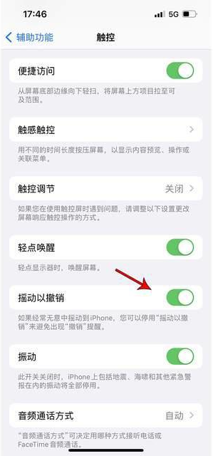 安丘苹果手机维修分享iPhone手机如何设置摇一摇删除文字 