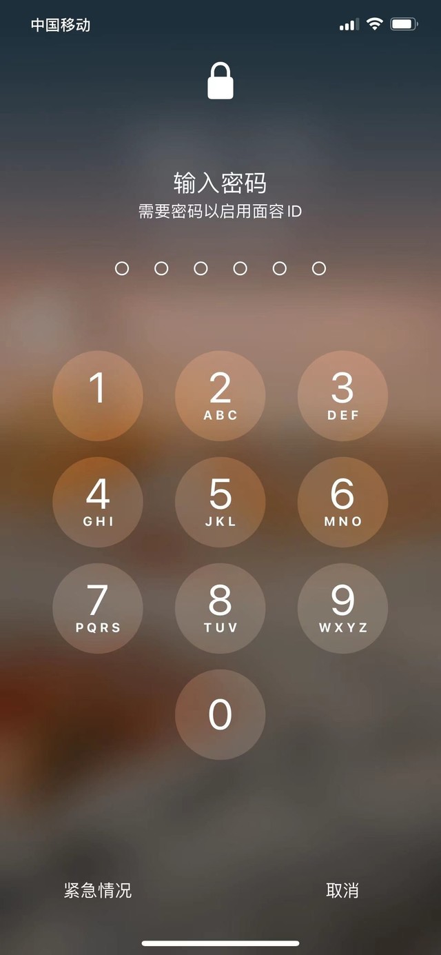 安丘苹果13维修分享iPhone 13加强锁屏功能有什么用 