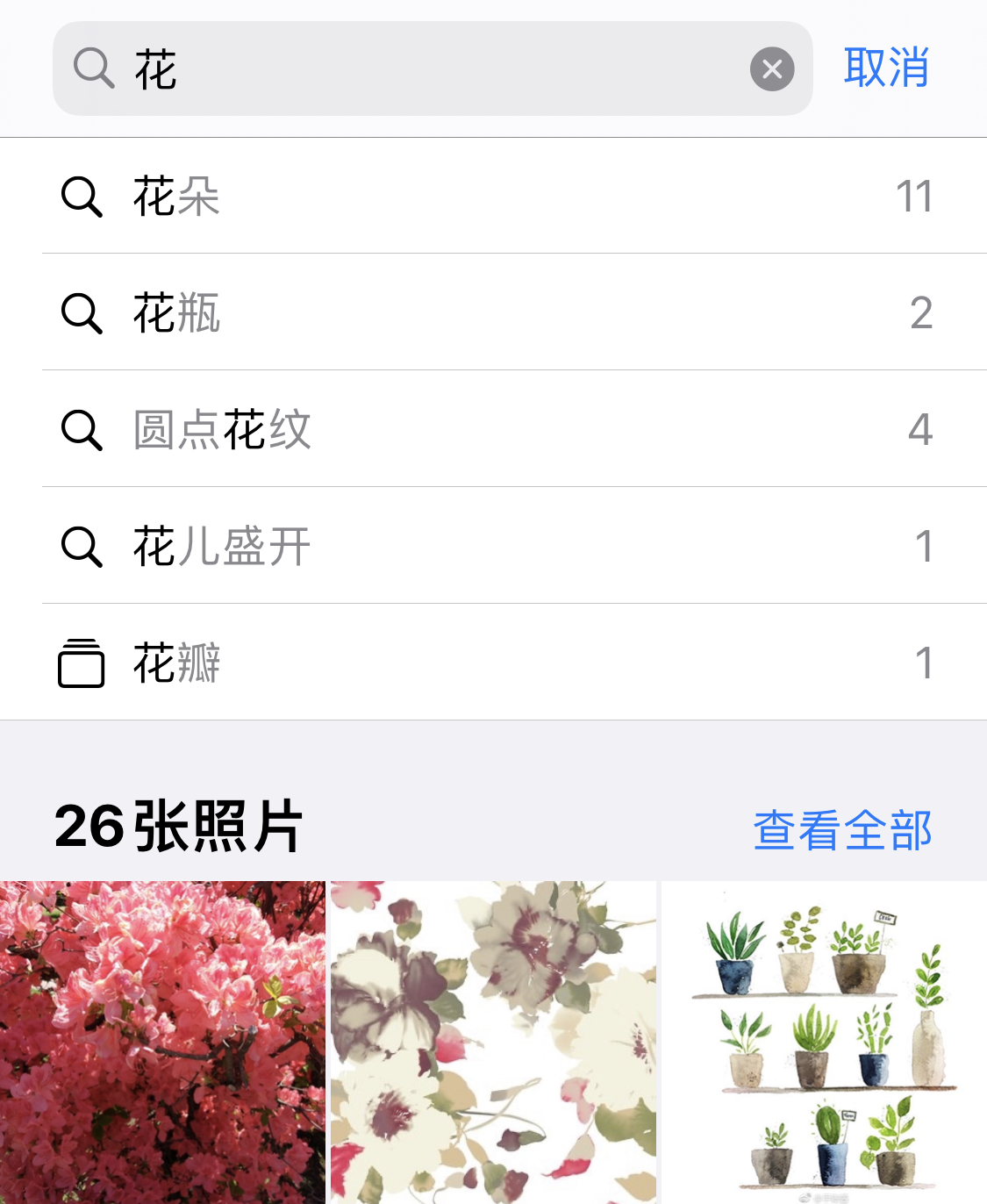 安丘苹果手机维修分享iPhone 小技巧 